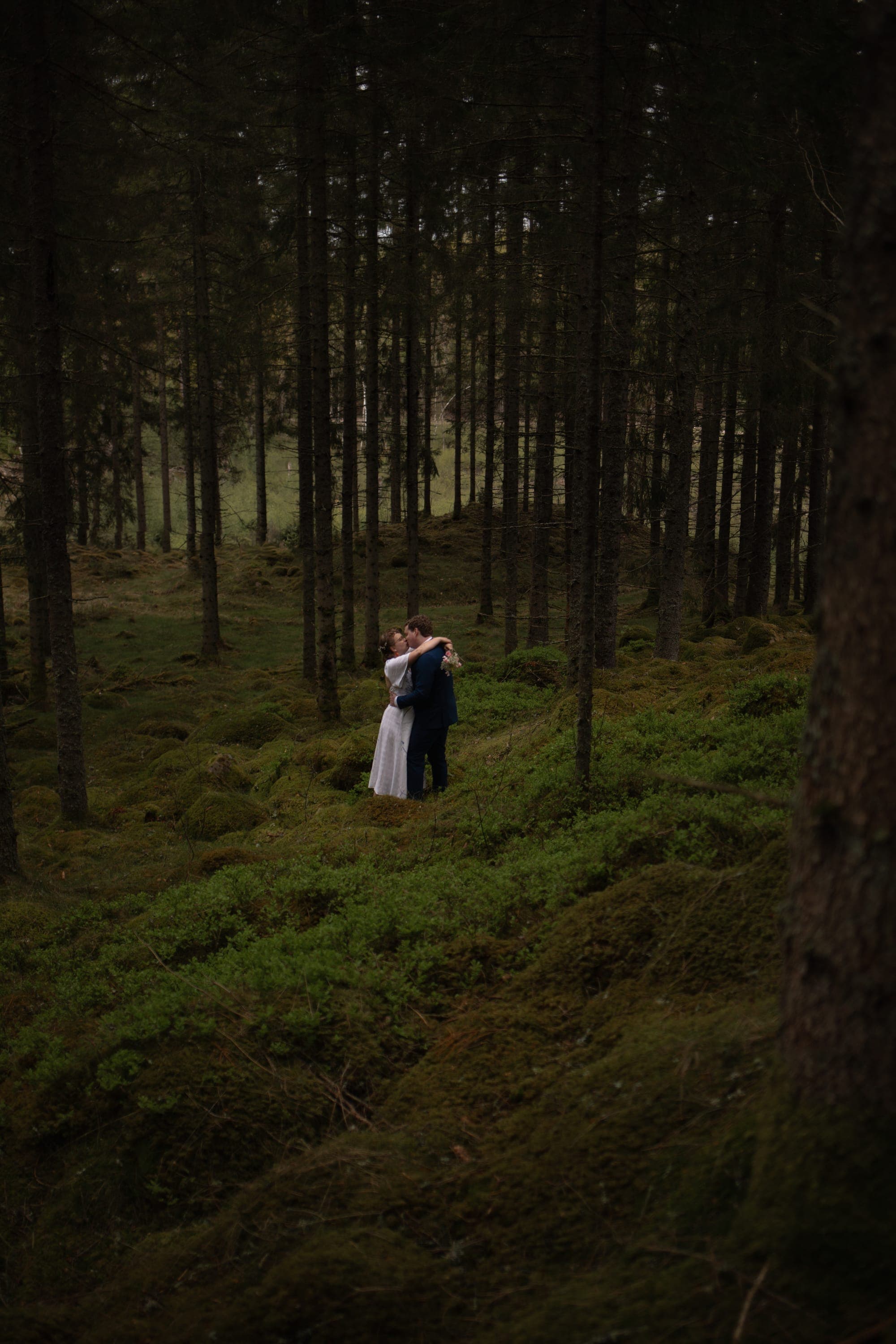 Weddings & Engagements